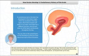 Suzanne Zeedyk - e-Course -1 - Brain Development